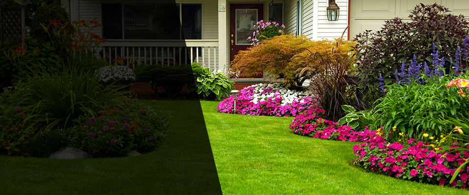 Towson Landscapers